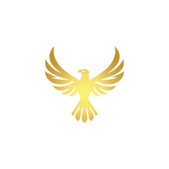 Eagle Soaring