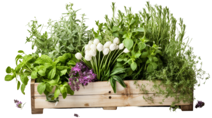 Repurposed Wooden Crate Tribute on white background