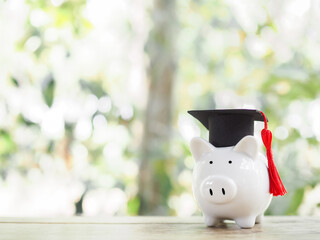 Piggy bank with graduation hat. The concept of saving money for education, student loan,...