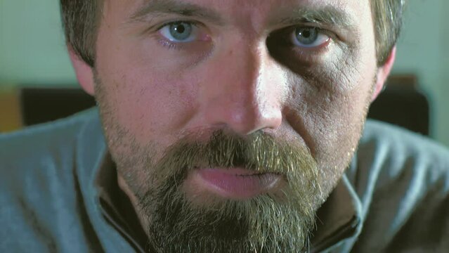 Evening Contemplation: A Solemn Gaze