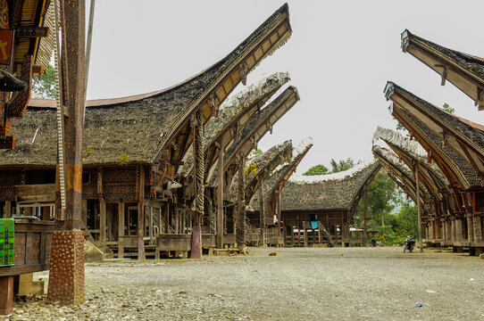 Tipical traditional village with traditional shaped houses in Tana Toraja, near Rantepao