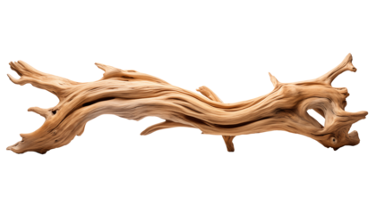 wooden driftwood on a white background.