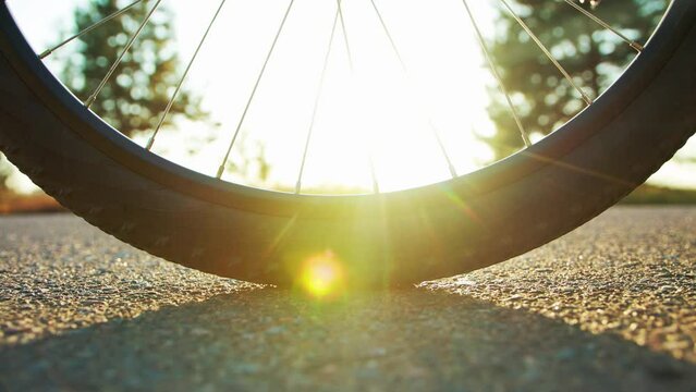 A punctured bicycle tire on an asphalt road. Bleeding rubber wheel and punctured inner tube, close-up