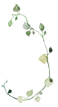 Watercolor tiny twigs with green leaves isolated illustration, botanical wedding element