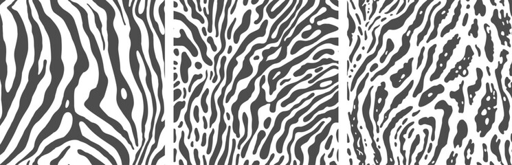 Set of monochrome zebra print backgrounds. - 748741338