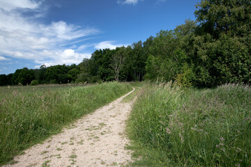 Fototapeta na wymiar Walking Path near River Alster