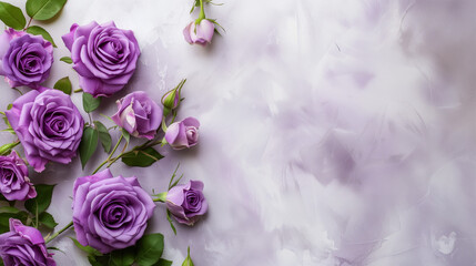 Purple rose background with copy space