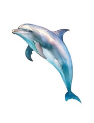 Watercolor illustration of a dolphin isolated on white background.