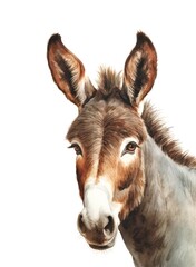 Watercolor portrait of a brown donkey on white background.