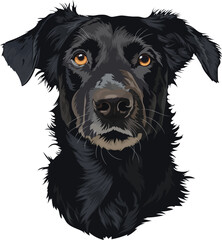 Black dog, vector animal portrait, cartoon portrait of a pet