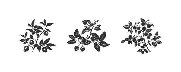 Huckleberry icon set. Vector illustration design.