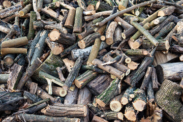Close-up of sawn firewood stacked on a pile