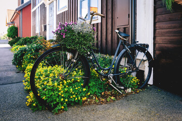 Vintage bike in flowers on scandinavian street in Karlskrona, Sweden - 748752595