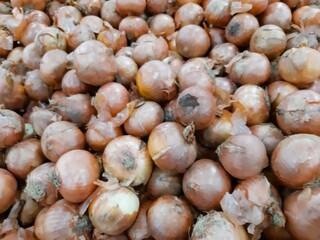 Cebola