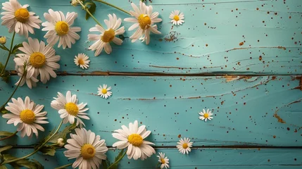 Foto op Canvas Summer background. Daisy flower on a turquoise wooden background, vibrant daisy blooms arranged against a weathered turquoise wooden plank backdrop © malik