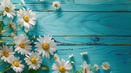 Summer background. Daisy flower on a turquoise wooden background, vibrant daisy blooms arranged against a weathered turquoise wooden plank backdrop