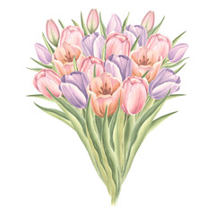 Naklejka premium Bouquet of tulips flowers with leaves. Isolated hand drawn watercolor illustration garden spring flower. Floral drawing template for card of Mothers day, 8 March, Easter, wedding, textile, embroidery.