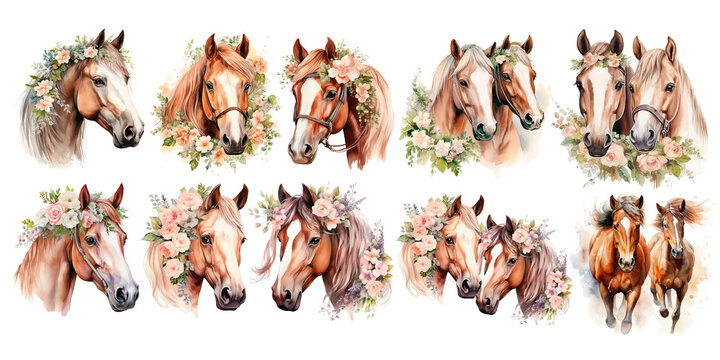 Very nice watercolour painting of two horses. Set of illustrations isolated on white background.