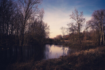 frühblüher und licht
