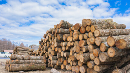 山積みにされた丸太