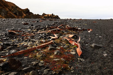 Djúpalónssandur  is a sandy beach and bay on foot of Snæfellsjökull in Iceland