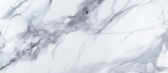 This close up shows the intricate details of a white marble texture, showcasing the veins and patterns that make it unique. The texture appears smooth and polished, perfect for a ceramic surface.