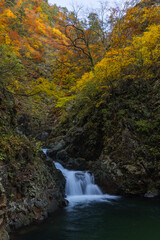 日本　青森県中津軽郡にある世界遺産、白神山地の暗門滝の第3の滝と紅葉