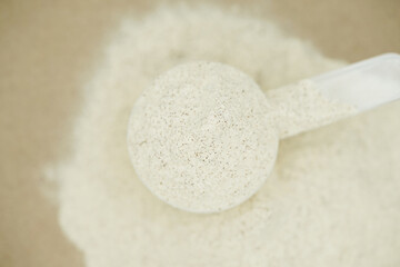 Top view of plant protein powder in plastic scoop. Whey protein powder background.