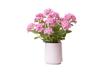 Naklejka na ściany i meble A white vase filled with delicate pink flowers is placed on a clean white background. The petals of the flowers add a soft touch to the minimalist setting.