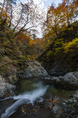 日本　青森県中津軽郡にある世界遺産、白神山地の暗門渓谷ルート沿いの暗門川と紅葉