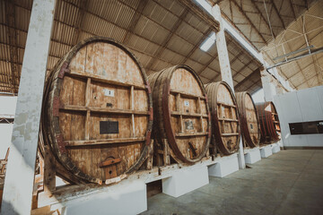 Viña Tacama traditional, offers tours in the vineyards of the winery in Ica Peru.