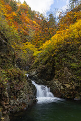 日本　青森県中津軽郡にある世界遺産、白神山地の暗門滝の第3の滝と紅葉