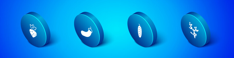 Set Isometric Turnip, Cucumber, Ginger root and Eggplant icon. Vector