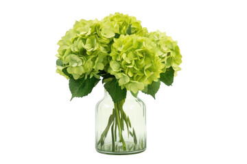 A vase filled with green flowers is placed on top of a table in a simple and elegant setting. The bright green flowers contrast beautifully with the white vase and wooden table.