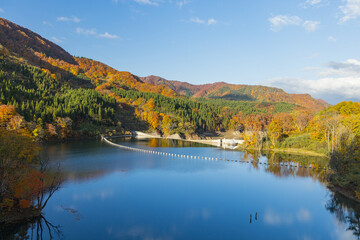 日本　青森県中津軽郡の大川白神橋から見えるの暗門川と紅葉