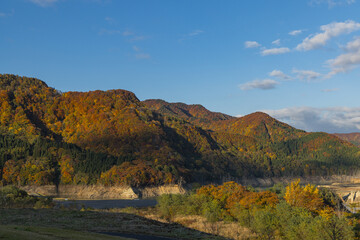 日本　青森県中津軽郡西目屋村の津軽白神湖パークからの紅葉風景