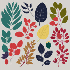 Vector set on white background with leaves, berries, flowers