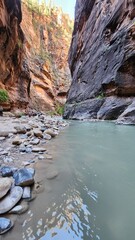 River to the Narrows, Zion National Park