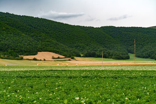 Rural landscape near Colfiorito, Marche, Italy, at summer