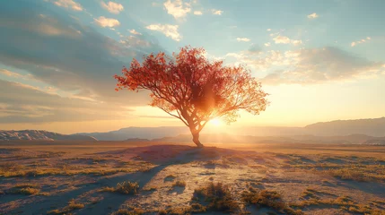 Deurstickers Mistige ochtendstond Lonely - Colorful Tree stands in the middle of the bare desert. Hot sun rays pass through the branches of a tree