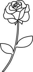 장미외곽선
