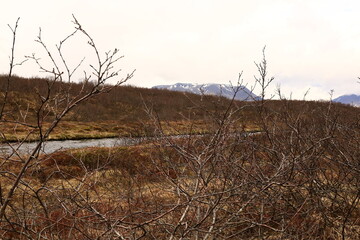 Br&uacute;ar&aacute; is a spring-fed river in West Iceland which runs by the boundaries of municipalities Biskupstungur and Gr&iacute;msnes