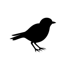 Silhouette of little bird isolated on white background
