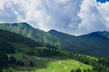 Fototapeta na wymiar Landscape mountains in Ukraine 