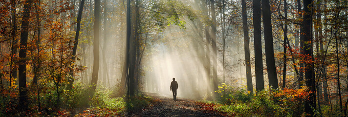 Magical panoramic scenery in the woods, with rays of sunlight illuminating the autumn fog and the silhouette of a man hiking on the trail 