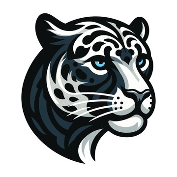 Wild jaguar leopard head face vector illustration, zoology illustration, animal predator big cat design template isolated on white background