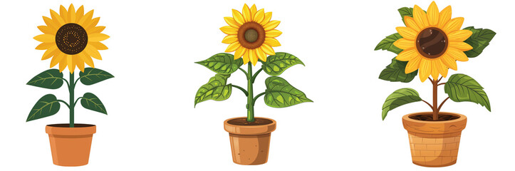 Obraz premium Vector cute Sunflower plant in pot kawaii character isolated on a transparent or white background, PNG