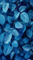 Blue plant leaves contrast with a blue background, creating a harmonious and serene composition. Nature background of blue leaves in peaceful and refreshing atmosphere.