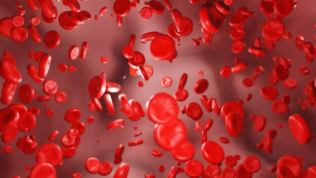 Blood cells flowing through the vein. Hemoglobin, corpuscle, bloodstream, blood plasma, arteries, health care and medicine.