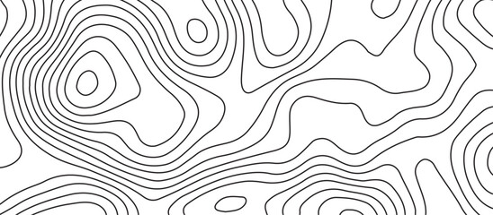 Abstract background of the topographic contours map with geographic line map .white wave paper curved reliefs abstract background .vector illustration of topographic line contour map design .
